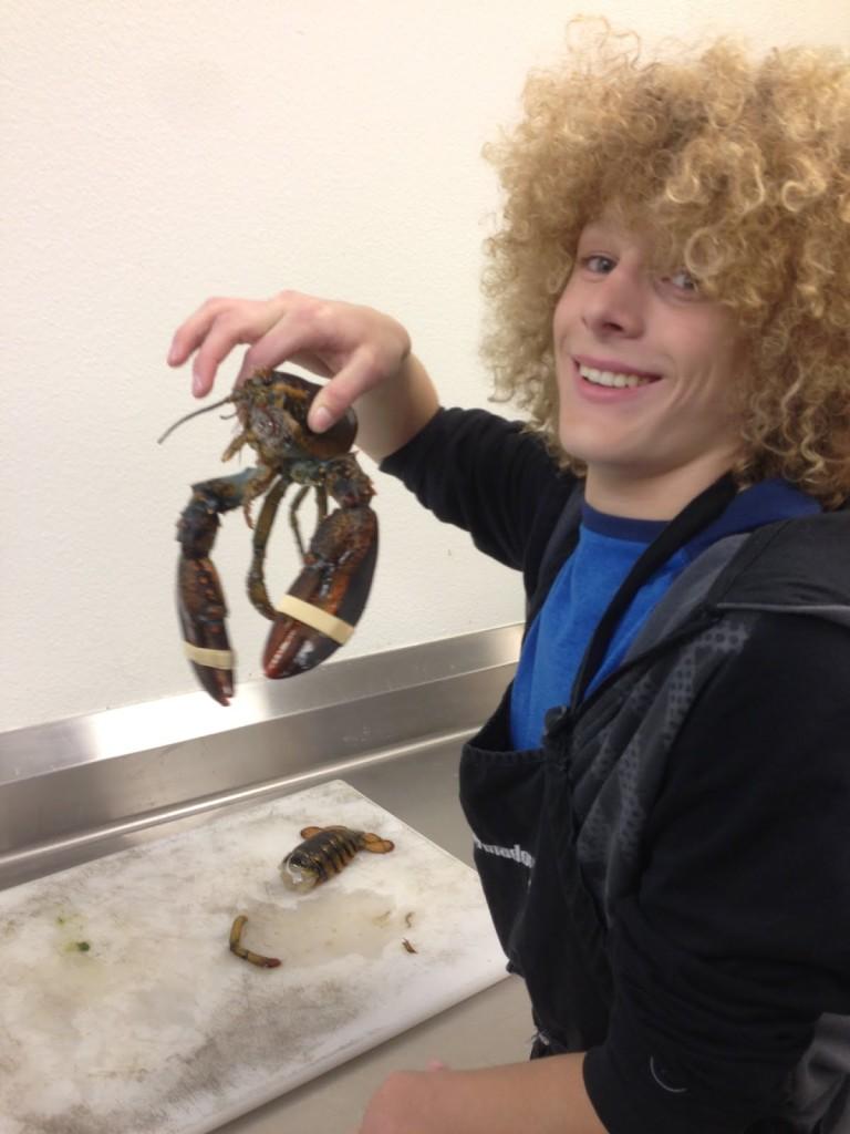 David Volker , grade 10, starts preparing a lobster in class. 