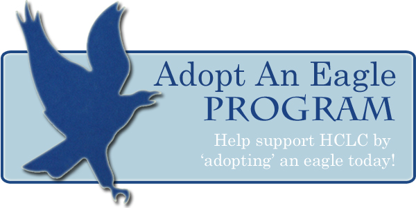 Adopt An Eagle