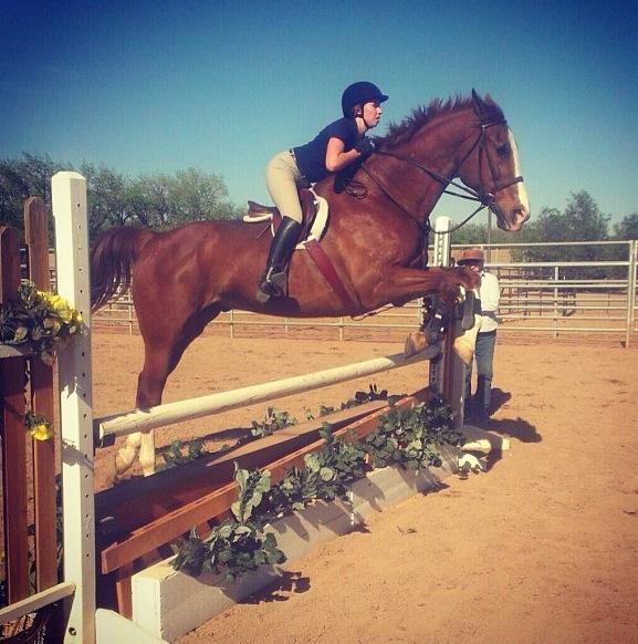 Gabrielle Petersen trains for her upcoming competition at her barn. She has been working with her trainer since she the age of six.