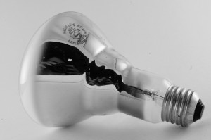 Light bulb reflection showing photographer. Photo taken using a Light Box.