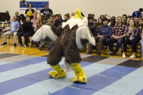 Name the Eagle!