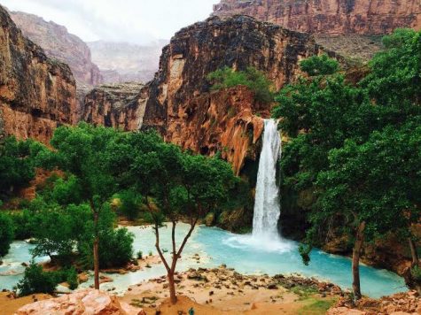 Havasupai Canyon