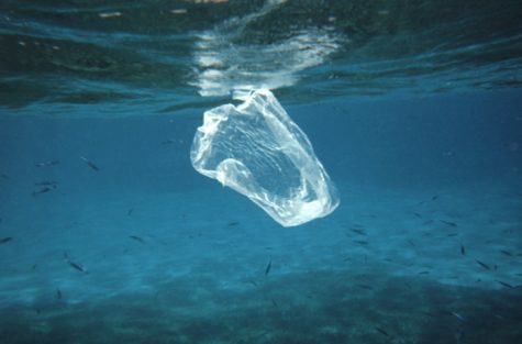 Potential Solution to Plastic Pollution
