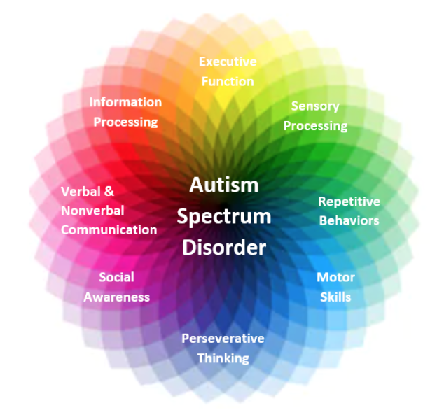 The autism spectrum.