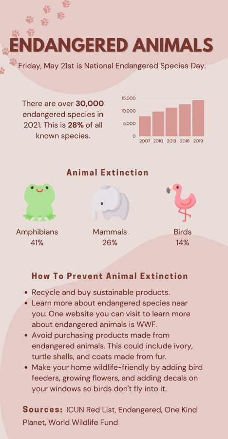 Endangered Animals in the World