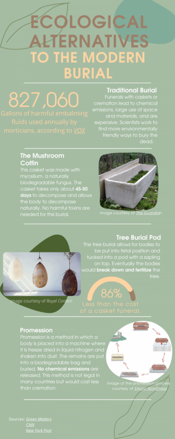 Environmentally-Friendly Burial Solutions