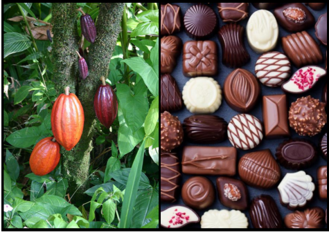 A drink, a currency, and a bar. How our use of chocolate has evolved over the centuries.