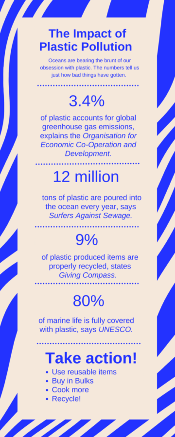 The Impact of Plastic Pollution