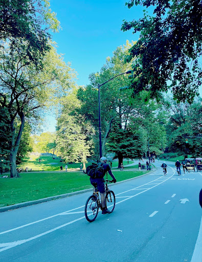 Central Park is a place where nature can thrive for human enjoyment.