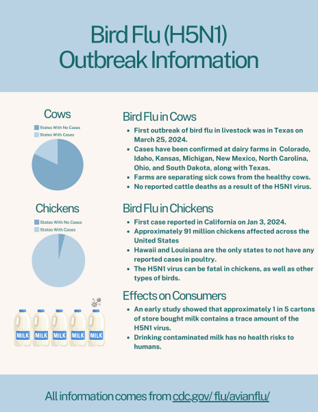 An infographic concerning the Bird Flu.
