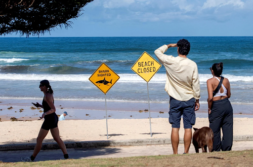 Picture of closed beach in Australia.
