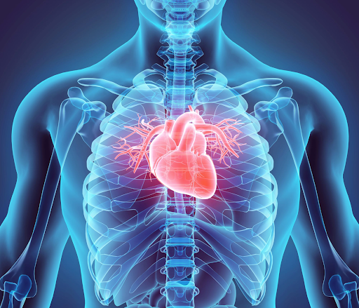 How Obesity Can Lead To Undiagnosed Heart Disease