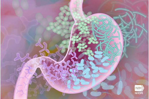 Boosted Brain Function in Older People, All Because of Daily Supplements
