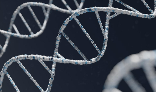 Scientists Successfully Transfer Longevity Gene